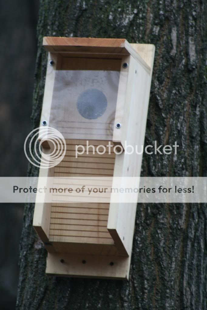 Woodpecker nest boxes | Michigan Sportsman Forum